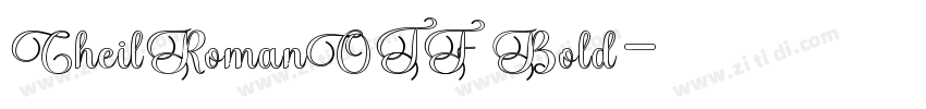 CheilRomanOTF Bold字体转换